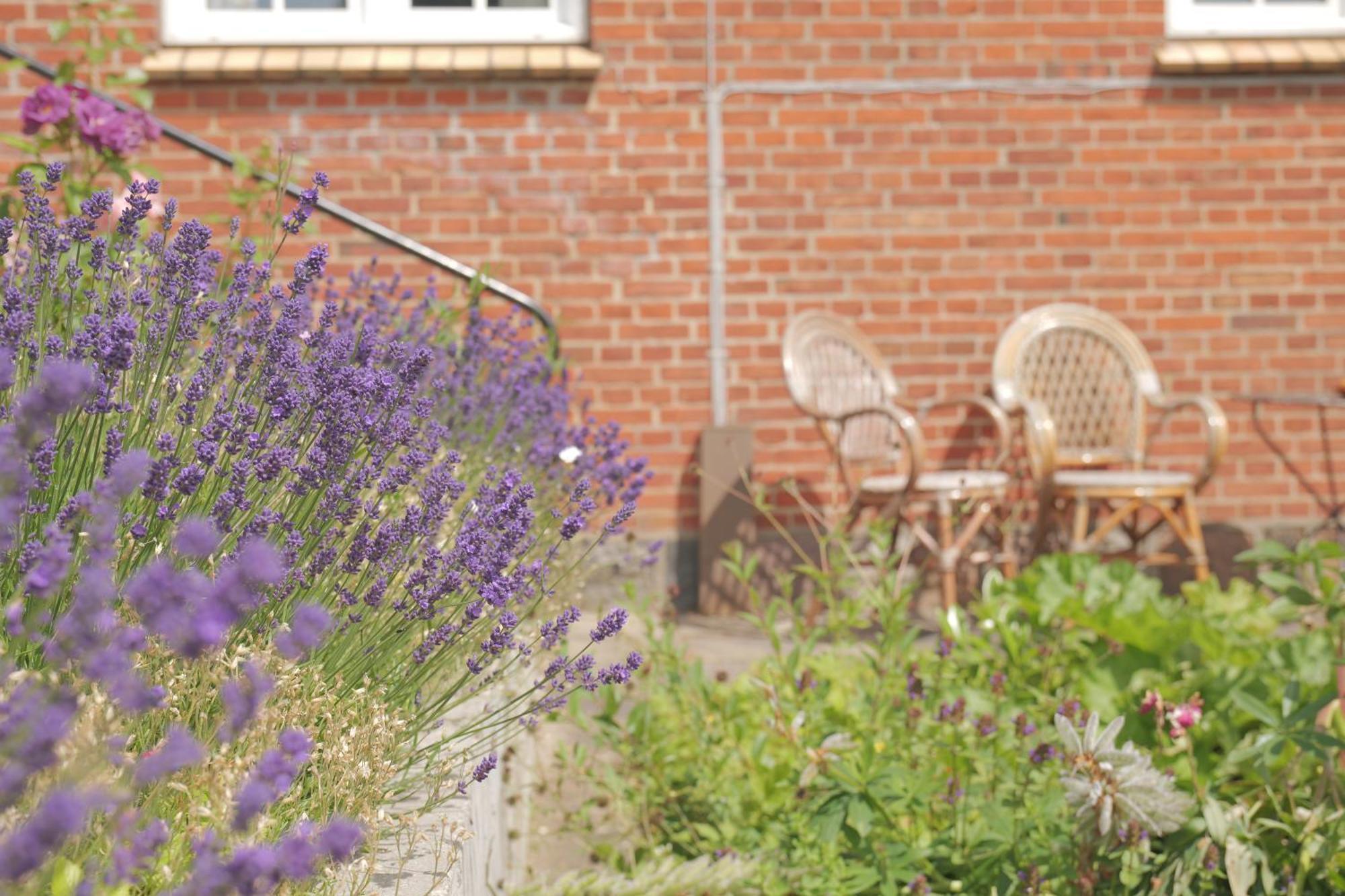 Huset I Hejls Bed & Breakfast エクステリア 写真